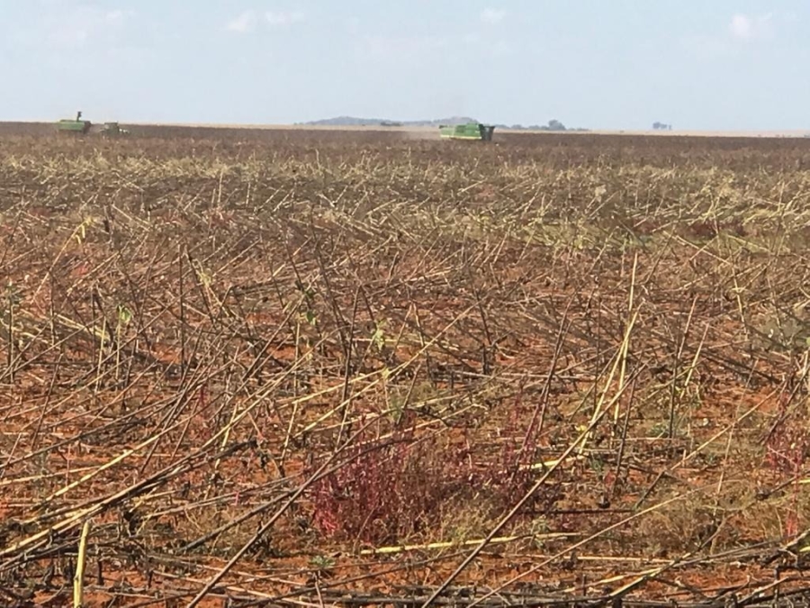 13 Bedroom Property for Sale in Soutpan Free State